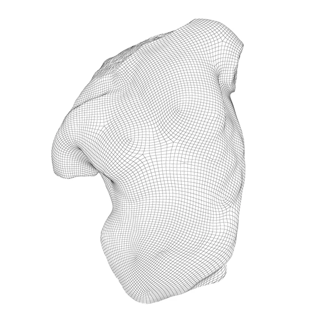 Скульптура Gaddi Torso — Скачать