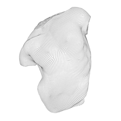 Скульптура Gaddi Torso — Вид 2