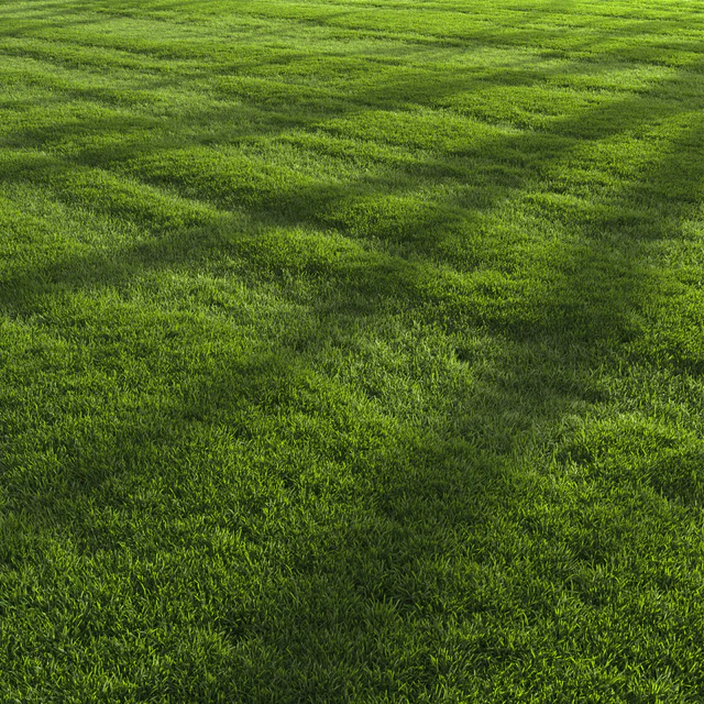 Garden Lawn — Descargar