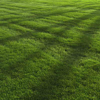 Garden Lawn — Ver 3