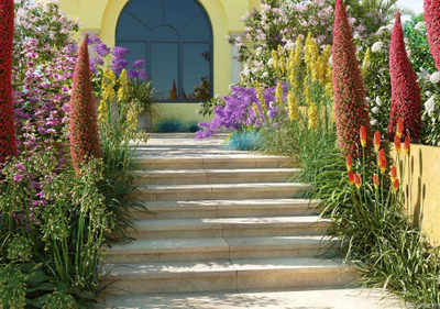 plant models vol 115 — download