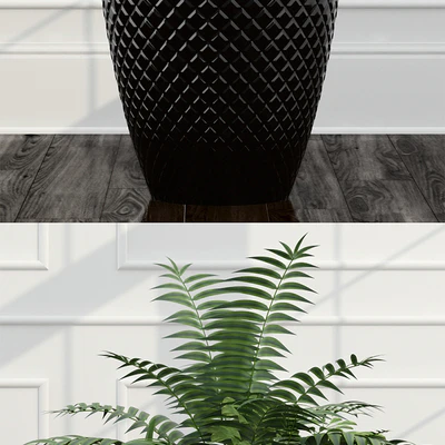 Room plants 11 — Ver 2