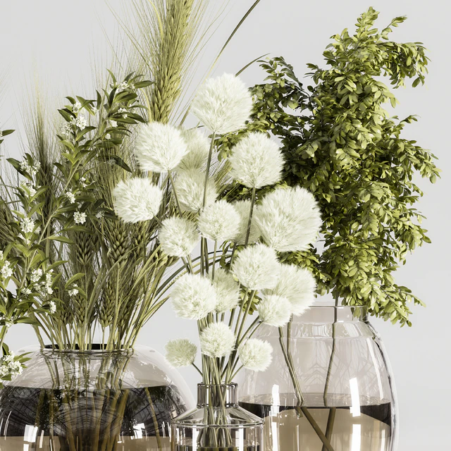 Collaction Plants Bouquet 21 — Descargar
