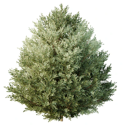 HQ Tree and bush garden box outdoor VOL 27 — Ver 2