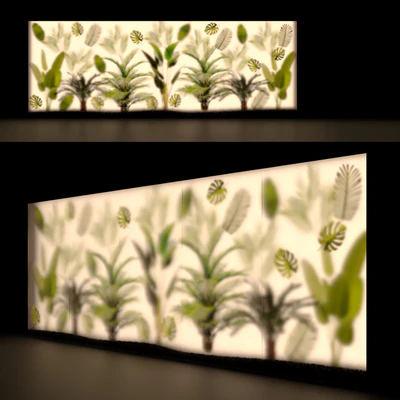 Phyto Display Case — Ver 1