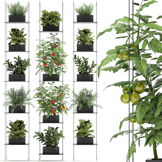 Vertical gardening kitchen garden garden with vegetables, tomatoes, peppers, herbs, lettuce, rosemary. Set 69. — Descargar