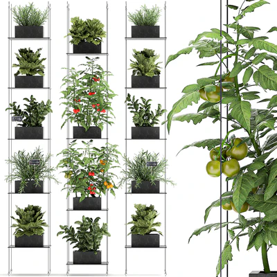 Vertical gardening kitchen garden garden with vegetables, tomatoes, peppers, herbs, lettuce, rosemary. Set 69. — Ver 1