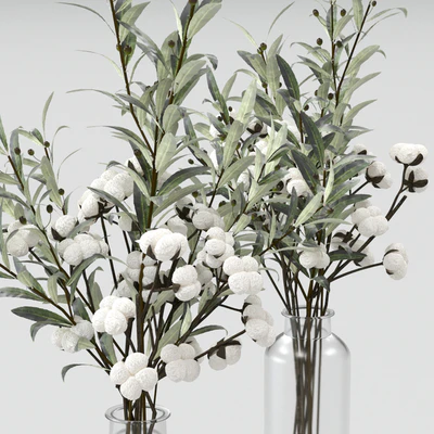 Bouquets of olives and cotton. — Ver 2