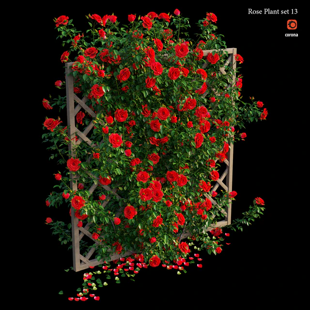 Rose plant set 13 — Скачать