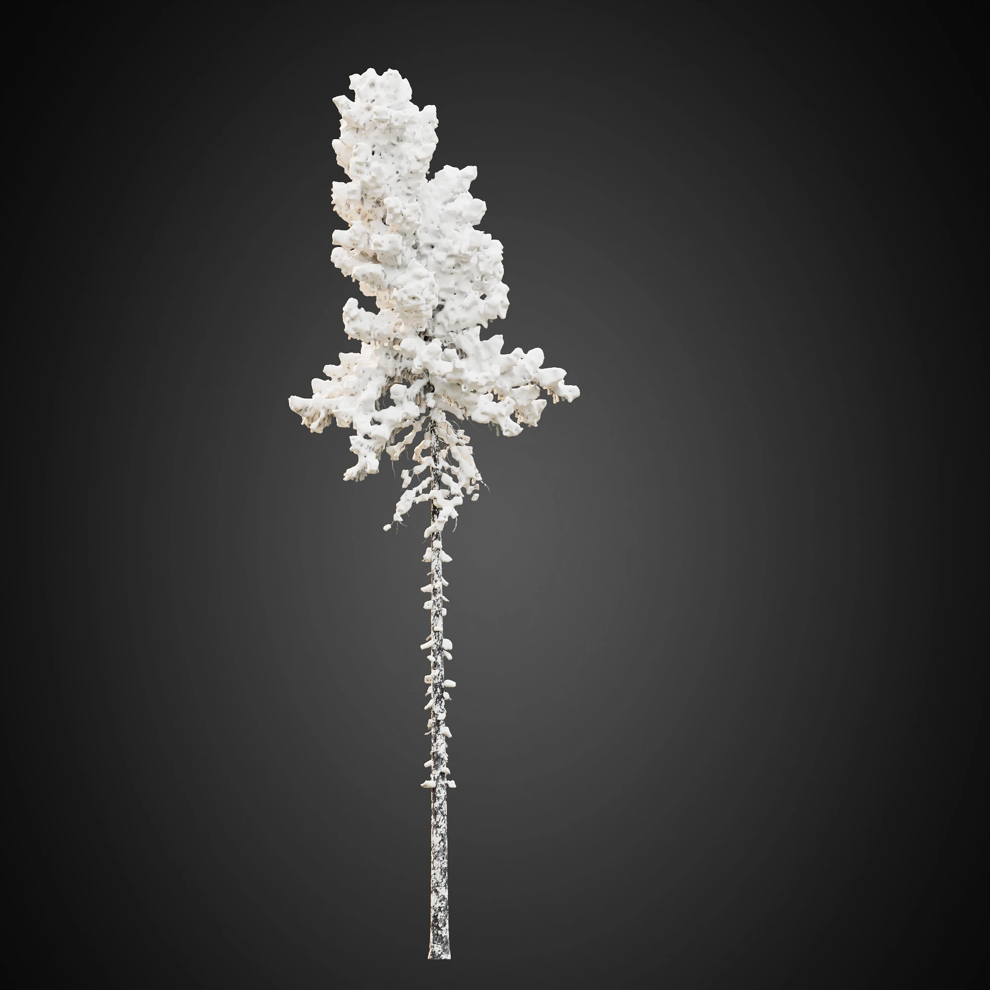 014 — Скачать