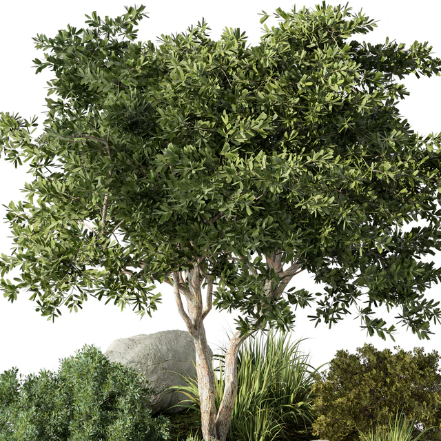 Outdoor Garden Plants Set.41 — Descargar