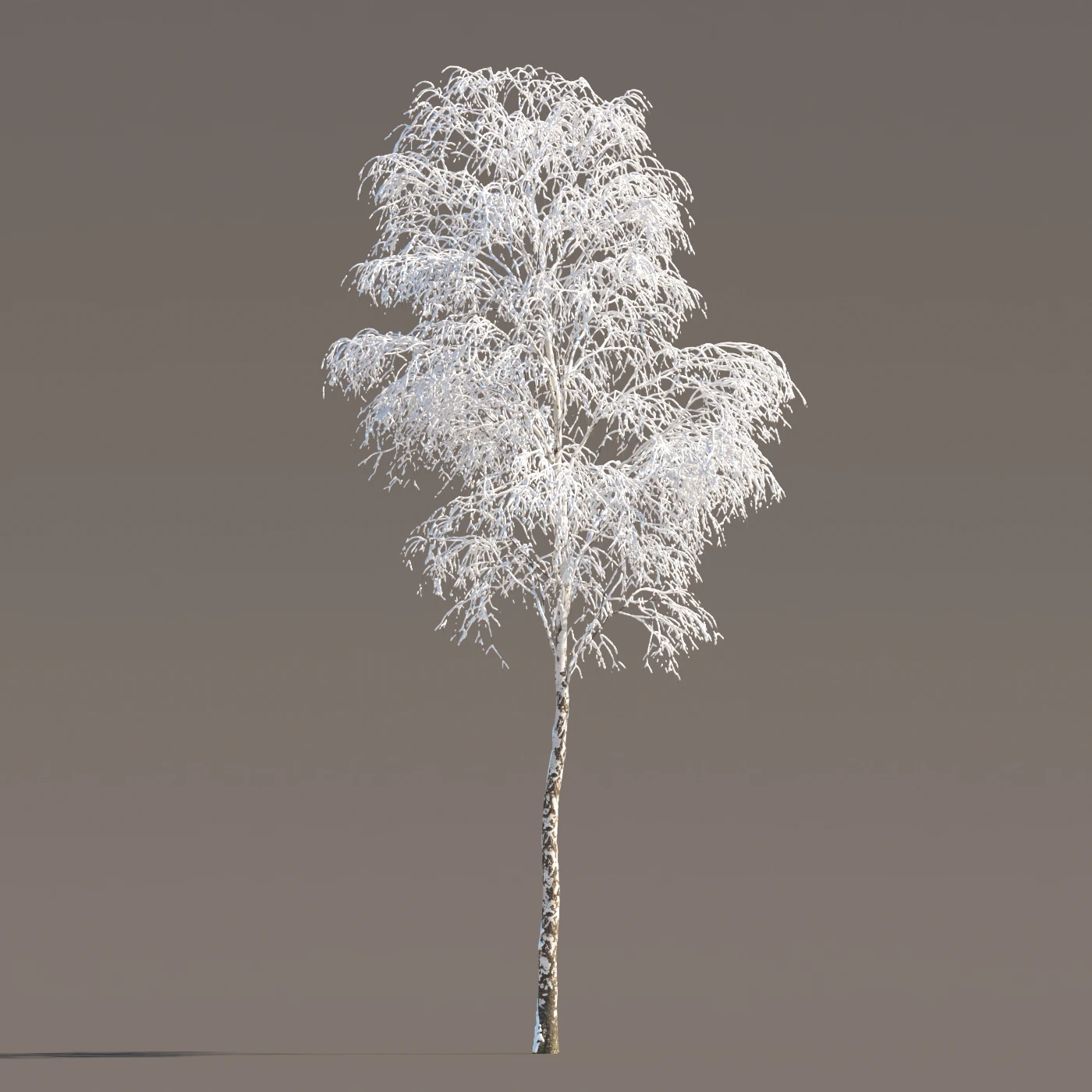 049 winter — Скачать