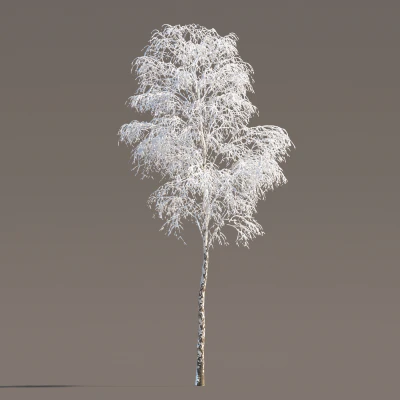 049 winter — Скачать