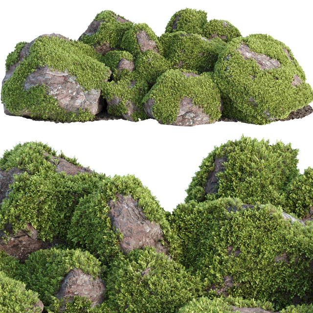 Mossy rock garden collection vol 140 — Descargar