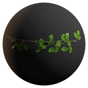 green vine 003 — Descargar