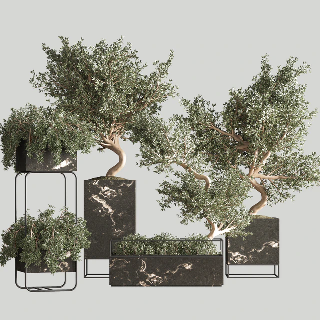 indoor plant set 39 — Descargar