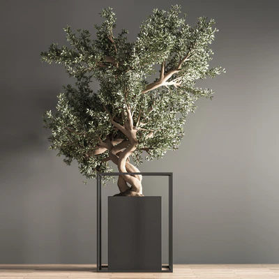 indoor plant bonsai set 24 — Ver 3
