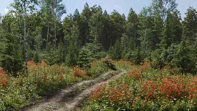 biome 04 — download
