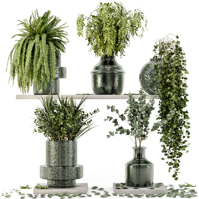 Collection Indoor Plants in Glass Pots - Set 695 — Descargar