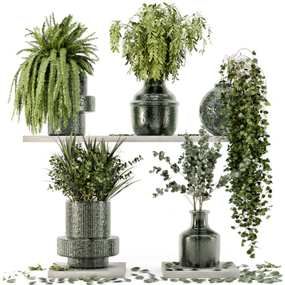 Collection Indoor Plants in Glass Pots - Set 695 — Ver 1