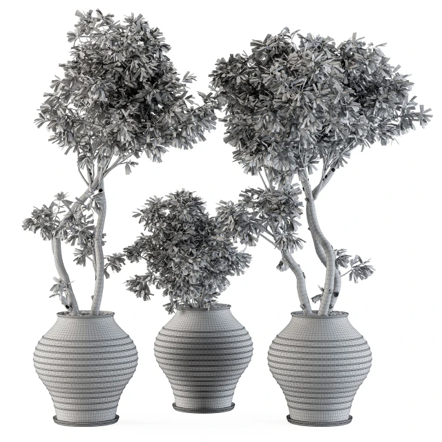 Outdoor Plants tree in Concrete Pot - Set 89 — Descargar