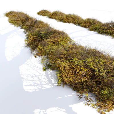 Bush 024 — Ver 2