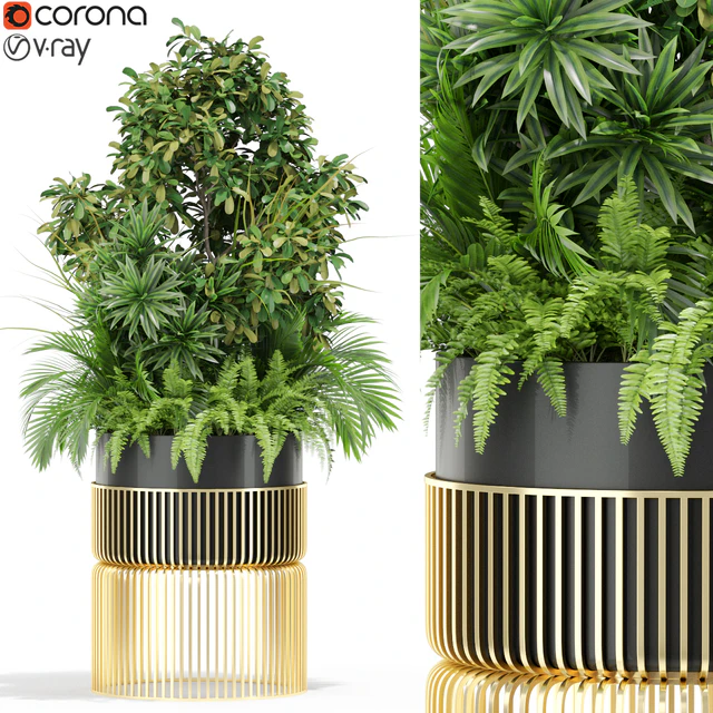 Plants collection 432 — Скачать