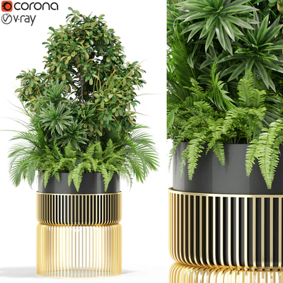 Plants collection 432 — Вид 1