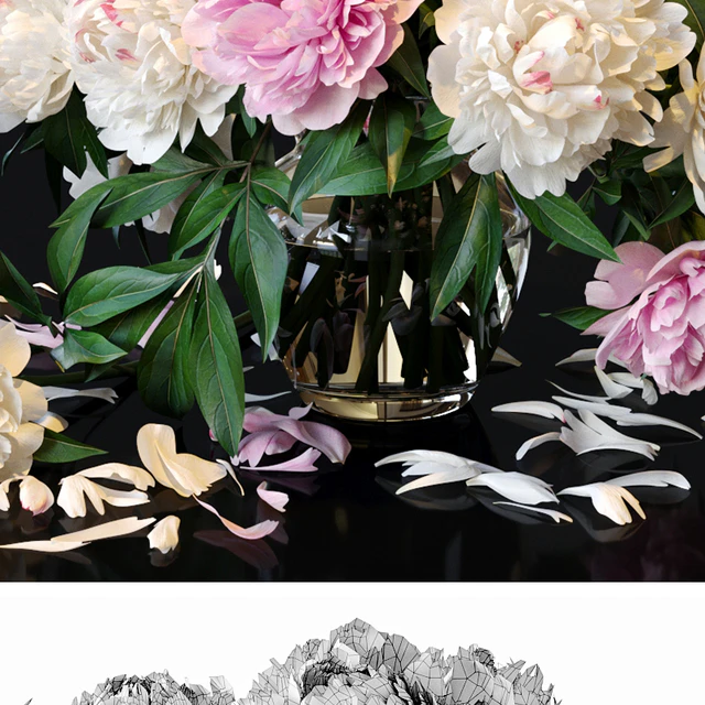 Peonies — Descargar