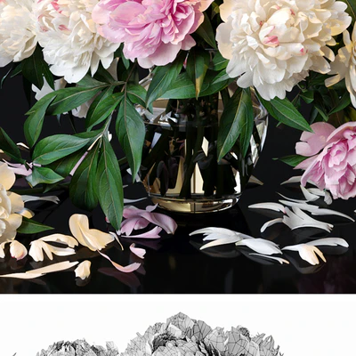 Peonies — Ver 2