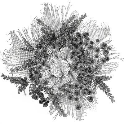 Decoration and installation for the wall of dried palm leaves wedding wreath of dried flowers. 230. — Ver 3