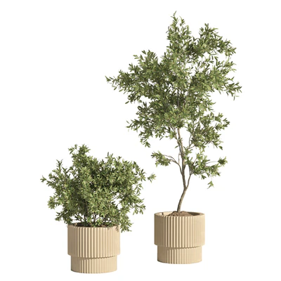 indoor plant set 74 — Ver 2