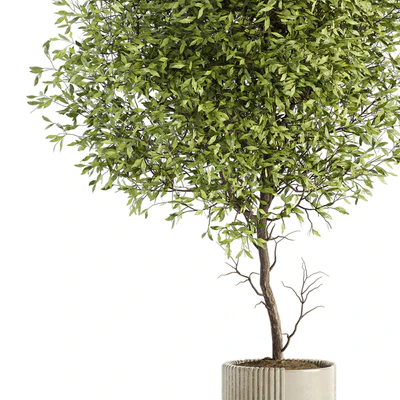 Indoor Plant Set 050 — Ver 3