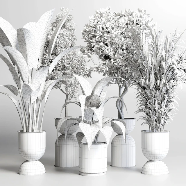 Collection indoor plant 156 pot plant ficus rubbery palm concrete dirt vase — Скачать