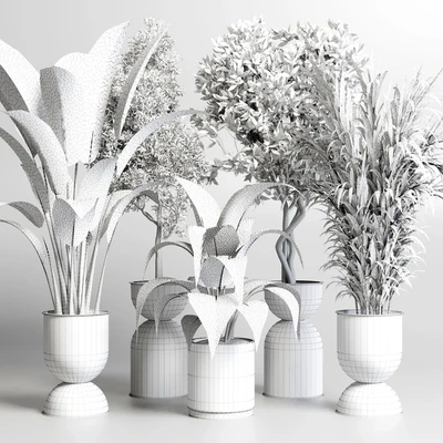 Collection indoor plant 156 pot plant ficus rubbery palm concrete dirt vase — Вид 2