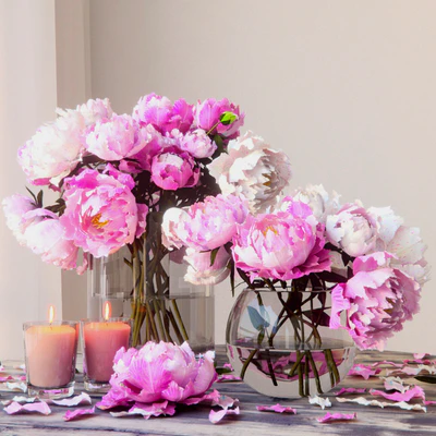 Пионы — Вид 1