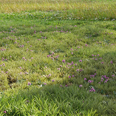 Realistic meadow grass — Ver 2