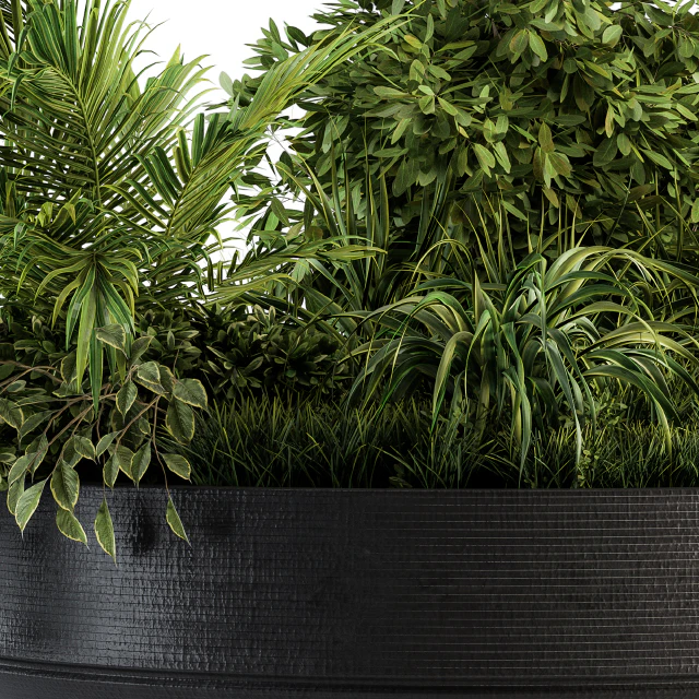 Outdoor Plants tree in Concrete Pot - Set 144 — Скачать