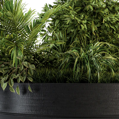 Outdoor Plants tree in Concrete Pot - Set 144 — Вид 3