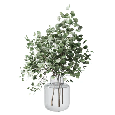 Collection Green Plants Bouquet Indoor 12 — Ver 2