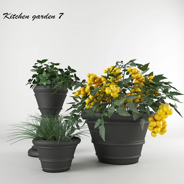 Ornamental garden # 7 — Descargar