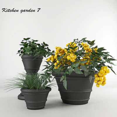 Ornamental garden # 7 — Ver 1