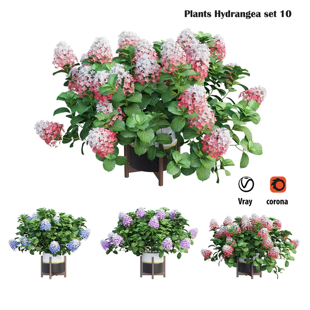 Plants Hydrangea set 10 — Скачать