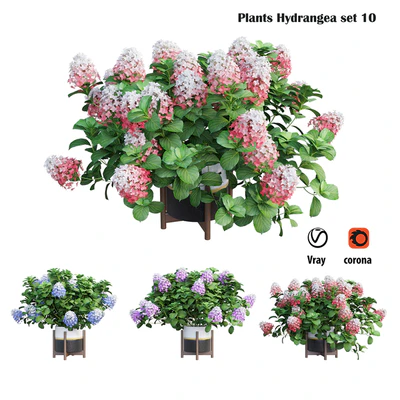 Plants Hydrangea set 10 — Вид 1
