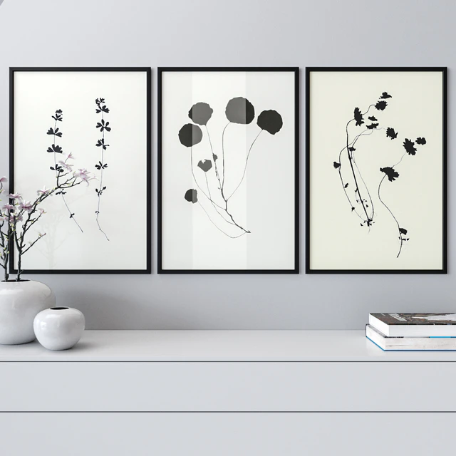 Photo Frames Set 1087 — Descargar