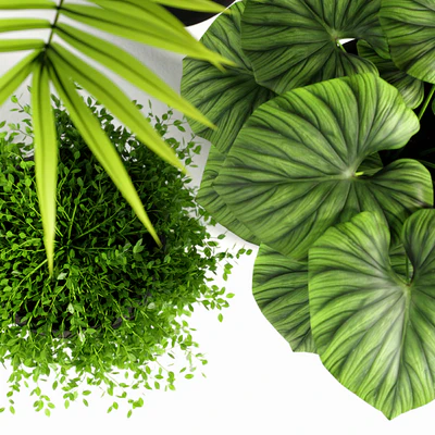 plants set 03 — Вид 2