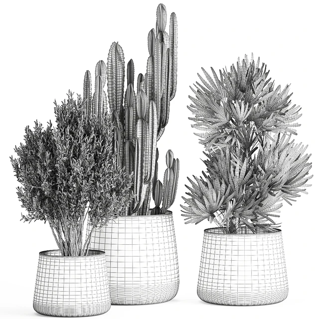 Collection of small plants in luxury pots with Cactus, palm, olive, tree, Rapeseed, Raphis, Cereus. Set 870. — Descargar