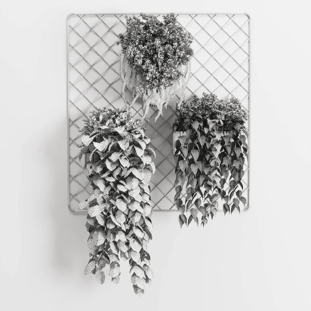 wall plant - hanging plants collection Indoor plant 293 metal dirt vase — Descargar