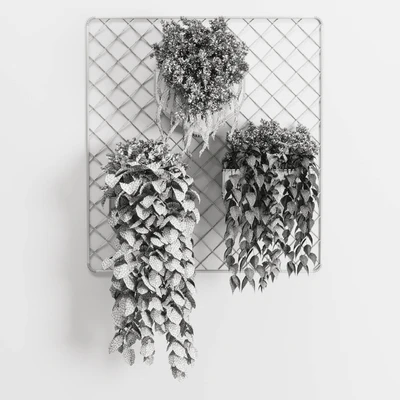 wall plant - hanging plants collection Indoor plant 293 metal dirt vase — Ver 2