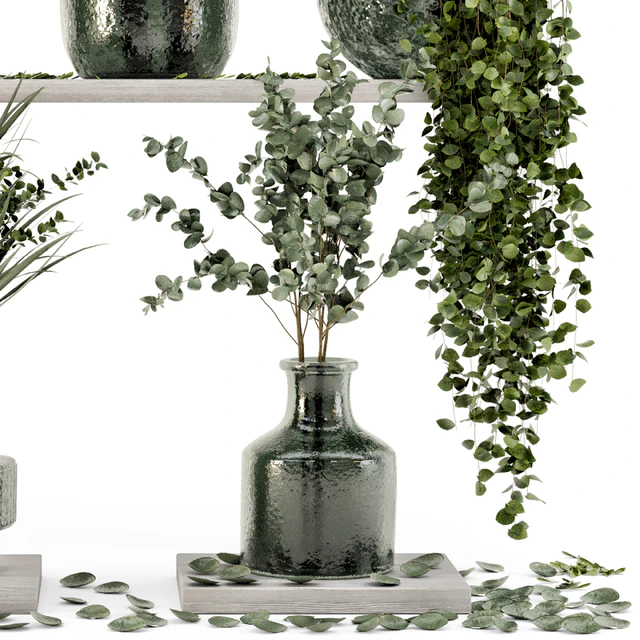 Collection Indoor Plants in Glass Pots - Set 695 — Descargar
